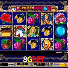 8GBET Rio de Janeiro - Bonus Terms